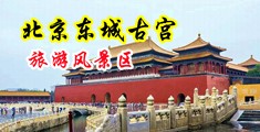 欧美啪啪中国北京-东城古宫旅游风景区